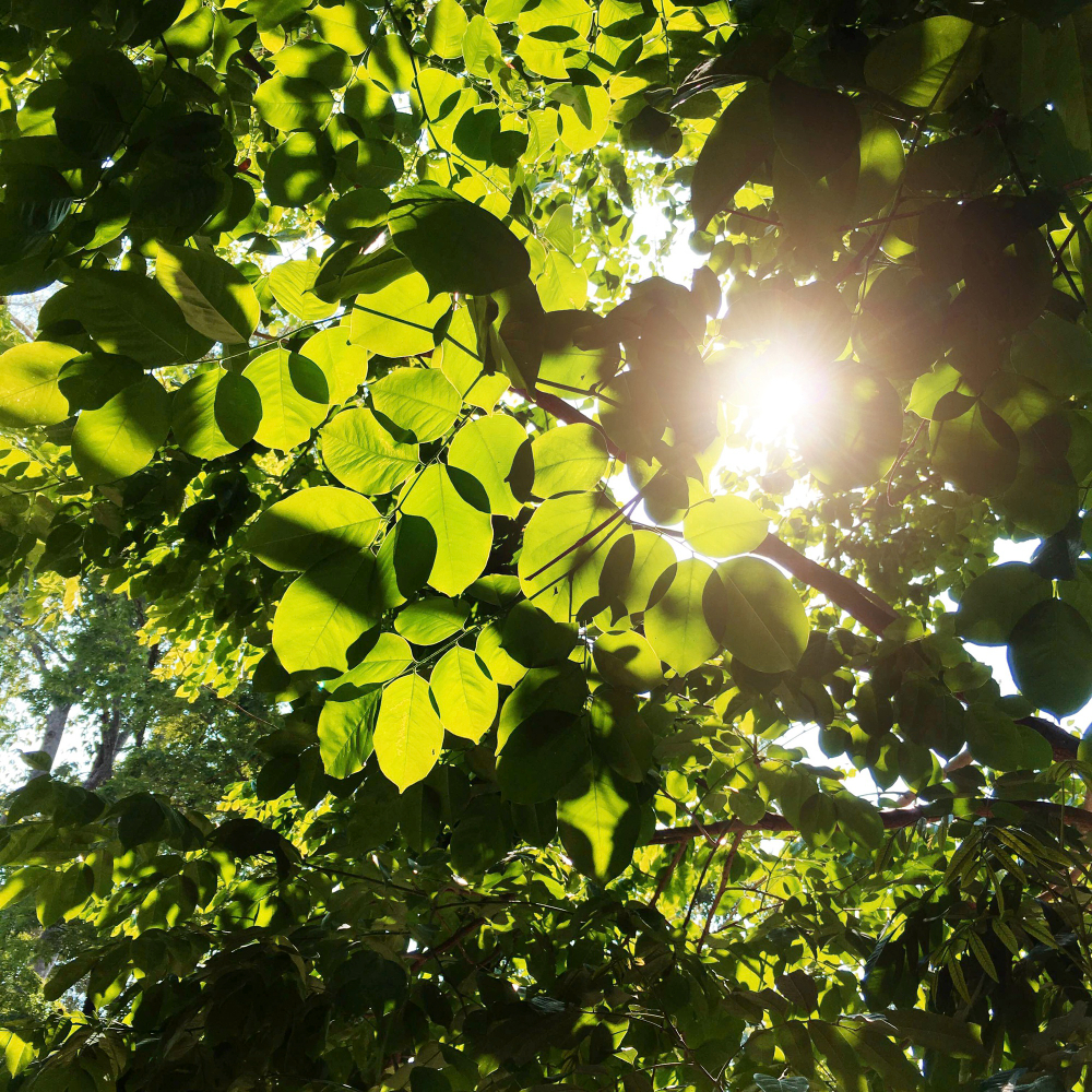 Vitamín D3 v létě a podpora imunity
